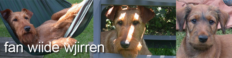 Fan Wiide Wjirren Ierse Terriers